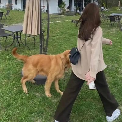 复制体前妻的复仇
